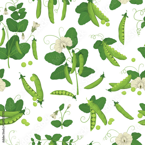 Cartoon green peas seamless pattern. Repeated agricultural plant, legume family, leaves, flowers, pods and tendrils, kitchen textile, wrapping paper, wallpaper. Print tidy vector background