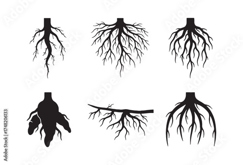 a collection of vector graphic designs featuring various plant root shapes, perfect for stickers, decorations, cutting, and print files.