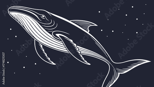 Whale Illustration Oceanic Animal Underwater Design.