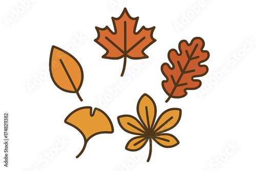 Stylized collection of fall leaves including maple, oak, and ginkgo in warm seasonal colors