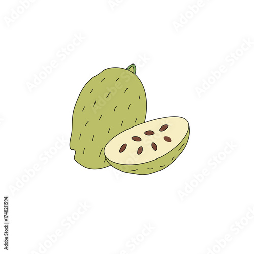 seamless pattern with fruits. Seamless background with fruits.. seamless pattern with fruit. set of fruits. Tropical Essence Fruit Collection. Elegant Exotic Fruits Illustration. 
