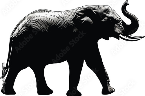 Silhouette of an african elephant walking with its trunk raised, isolated on white background a majestic creature of the savanna, a symbol of strength