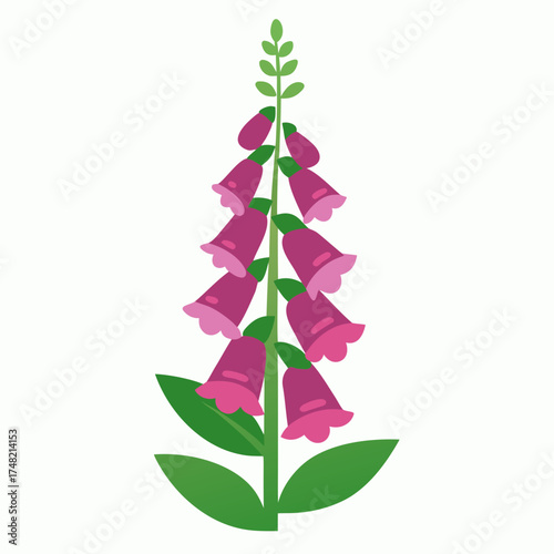 christmas tree on white background