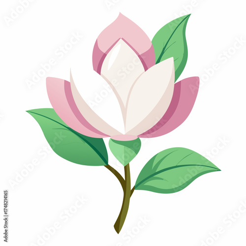 pink rose with leaves