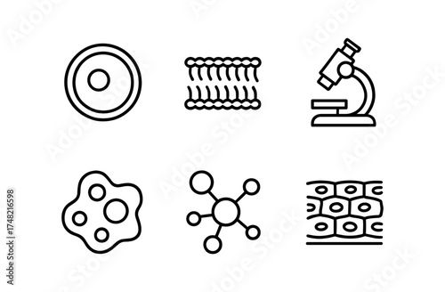 Biology icons: microscope, cell membrane, microscopy, and molecules in linear style