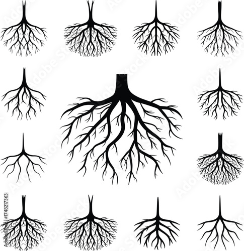 Detailed black and white illustration of a tree with strong roots and branches, symbolizing nature growth connection balance ecosystem strength life