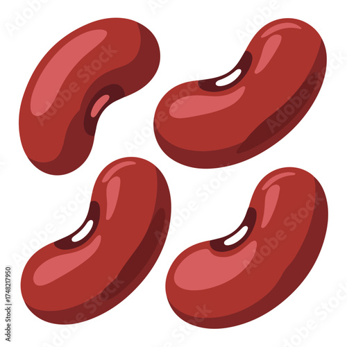 Four Kidney Beans Nutritious Legumes with a Rich and Earthy Flavor, Perfect for a Healthy Diet