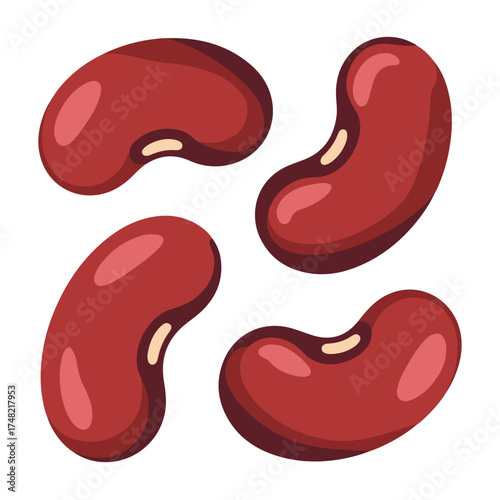 Red Kidney Beans Delight An Artistic Vector Rendering of Legumes for Culinary Projects