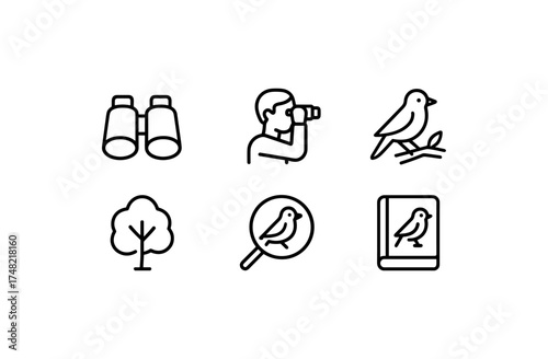 Birdwatching icons: minimalist line art for nature enthusiasts