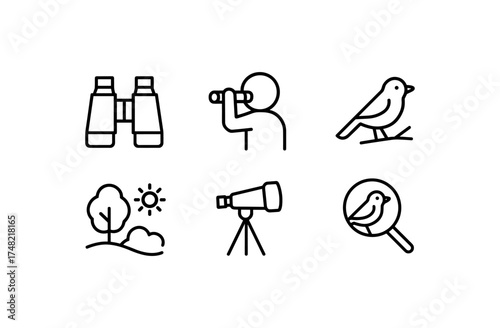 Simple line art of bird watching elements for nature enthusiasts