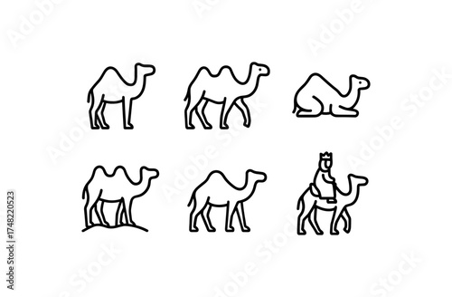 Minimalist linear camel icons set with variations and rider