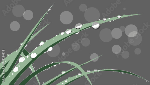 Dew drops on green grass blades against a gray background minimalist artwork.