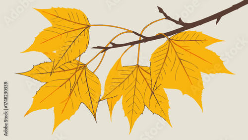 Autumn Leaves on Branch Illustration.