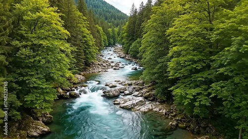 Clear mountain river flowing through green forest