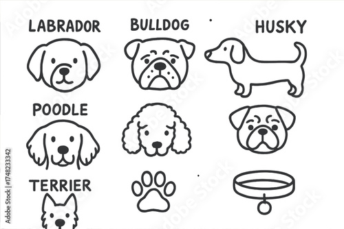 Dog Breeds Icons. Dog breeds doodle icon set: hand drawn icons of labrador, bulldog, dachshund, husky, poodle, pug, retriever,