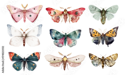 
Watercolor butterfly and moth clip art set, spring flowers and butterflies isolated on a white background