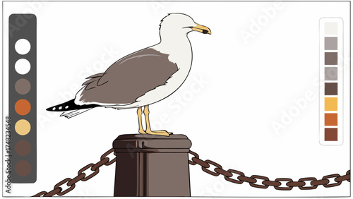 Seagull Perched on a Post with Chain - Vector Illustration.