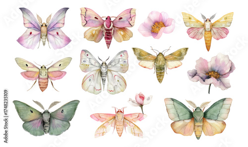 
Watercolor butterfly and moth clip art set, spring flowers, white background, pastel colors, soft lighting