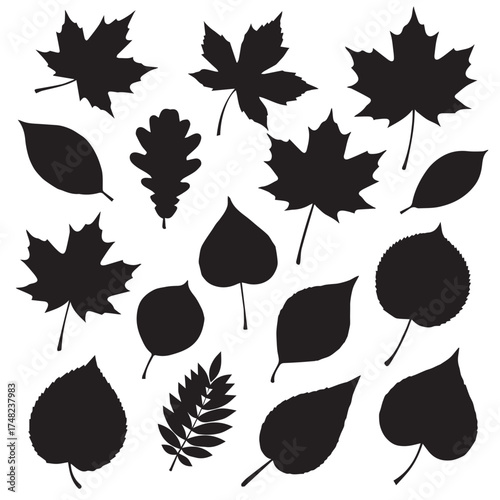 set of autumn leaves silhouette vector on white background