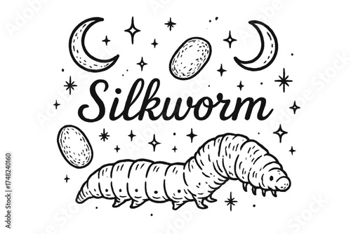 Silkworm and Moons. Hand-drawn silkworm with moons, cocoons, and sparkles, center word “Silkworm” in black and white isolated