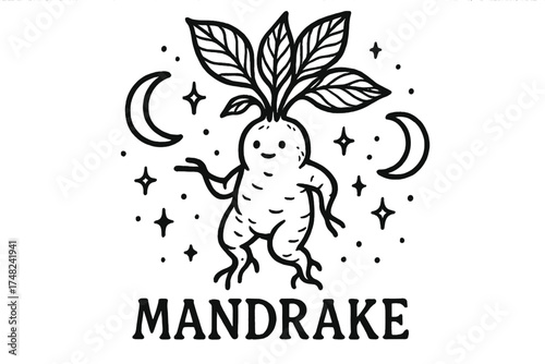 Mandrake with Moons. Hand-drawn mandrake roots with moons, leaves, and sparkles, center word “Mandrake” in black and white