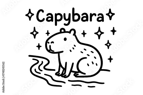 Doodle Capybara Delight. Doodle capybara with stars, river, and sparkles, center word “Capybara” in black and white isolated