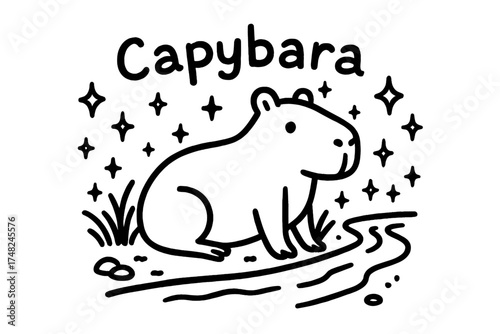 Doodle Capybara Delight. Doodle capybara with stars, river, and sparkles, center word “Capybara” in black and white isolated