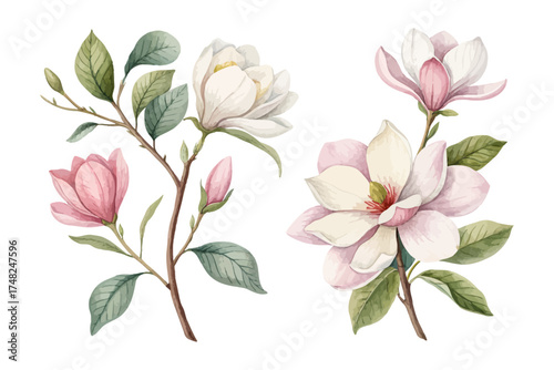 Elegant Gardenia and Magnolia Watercolor Clipart isolated on white background