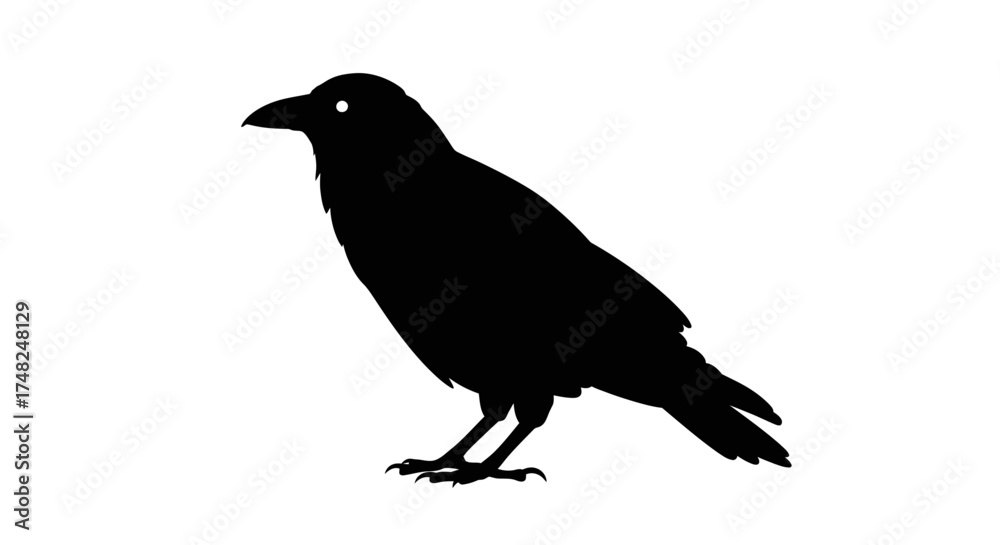 Fototapeta premium Silhouette of a black crow standing on its feet, facing left.
