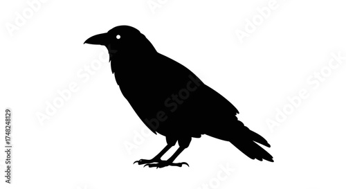 Silhouette of a black crow standing on its feet, facing left.