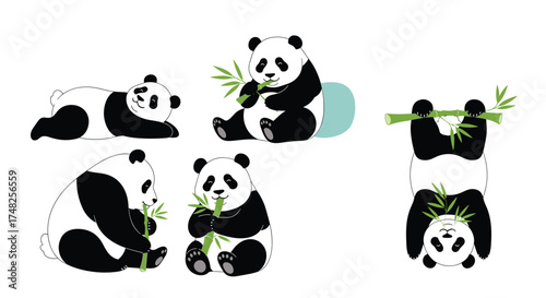 A collection of cute cartoon pandas enjoying bamboo shoots.