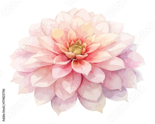 Dahlia Watercolor Illustration for Floral Art isolated on white background