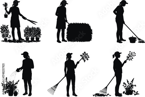 Gardening activity, plant care, garden tools, pruning, watering plants, raking soil, flower arrangement, outdoor work, horticulture, seasonal gardening tasks