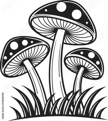 Vector art of stylized illustration of three black and white mushrooms with white spots, growing in grass