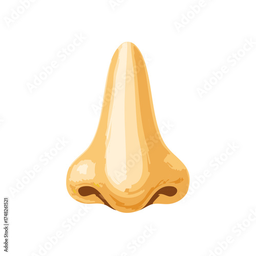 Detailed Artistic Rendering of a Human Nose showcasing Nostrils and Bridge