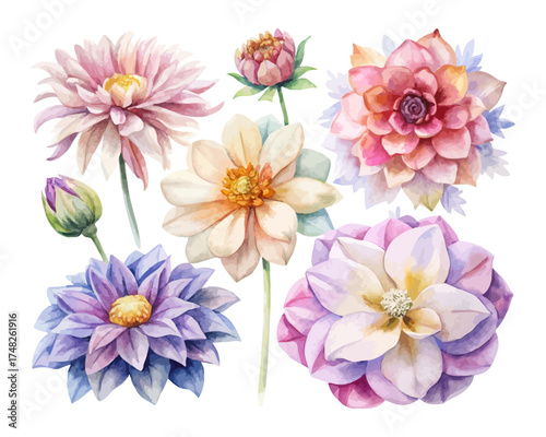 Dahlia and Anemone Watercolor Clipart Collection vector illustration
