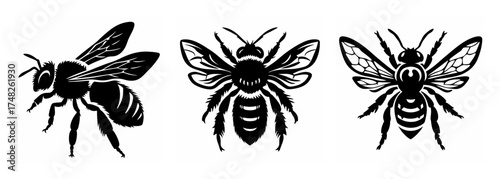 Three detailed black and white honeybee graphics showing different poses and views of these pollinators
