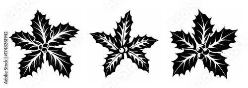 Three dark stylized holly leaf designs for festive holiday decorations and winter season