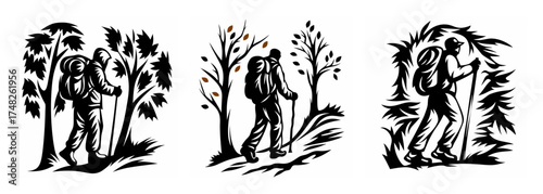 Three hikers explore a forest in autumn showcasing the beauty of nature trails and outdoor adventure