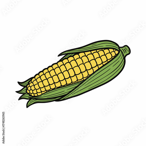 Illustration of a single ear of corn, showing the kernels and husk.