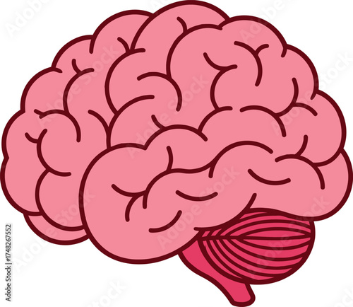 Cartoon Brain Illustration in Pink and Red – Stylized Human Brain with Cerebral Folds and Cerebellum for Education, Neuroscience, or Mental Health Design