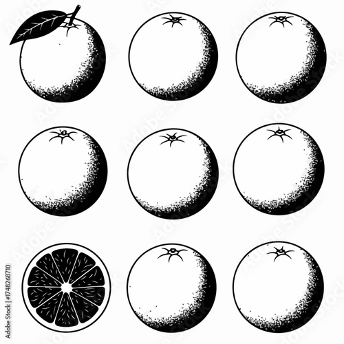Vintage monochrome oranges illustration grid with one sliced fruit, featuring a classic woodcut or linocut style for retro design.