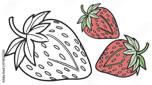 vector illustration of a tomato