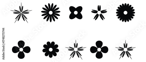 Set of flowers icon. Daisy flowers Vector, daisy chamomile icon, vector illustration.