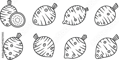 Black and white line art illustration of beetroot vegetables, root plant collection, organic food drawing for coloring, farming, or design