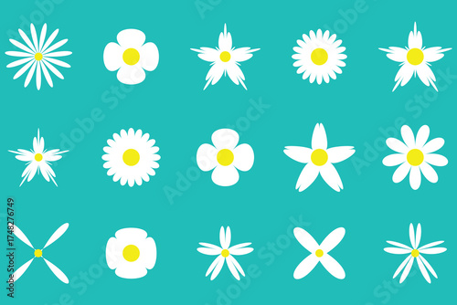 Set of flowers icon. Daisy flowers Vector, daisy chamomile icon, vector illustration.