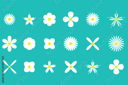 Set of flowers icon. Daisy flowers Vector, daisy chamomile icon, vector illustration.