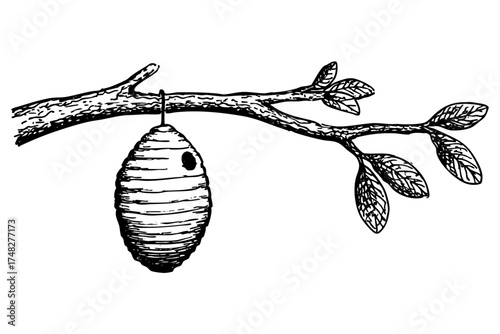 Beehive on tree branch sketch, hand drawn insect nest, nature apiary drawing