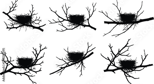  Bird nest on tree branch silhouette vector set, black and white nature illustration, wildlife design for natural, forest and nesting concept art.