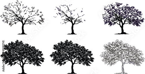  Detailed tree silhouettes collection, nature and forest vector illustration, seasonal trees with branches and leaves, botanical landscape elements for design, art, and environment concept